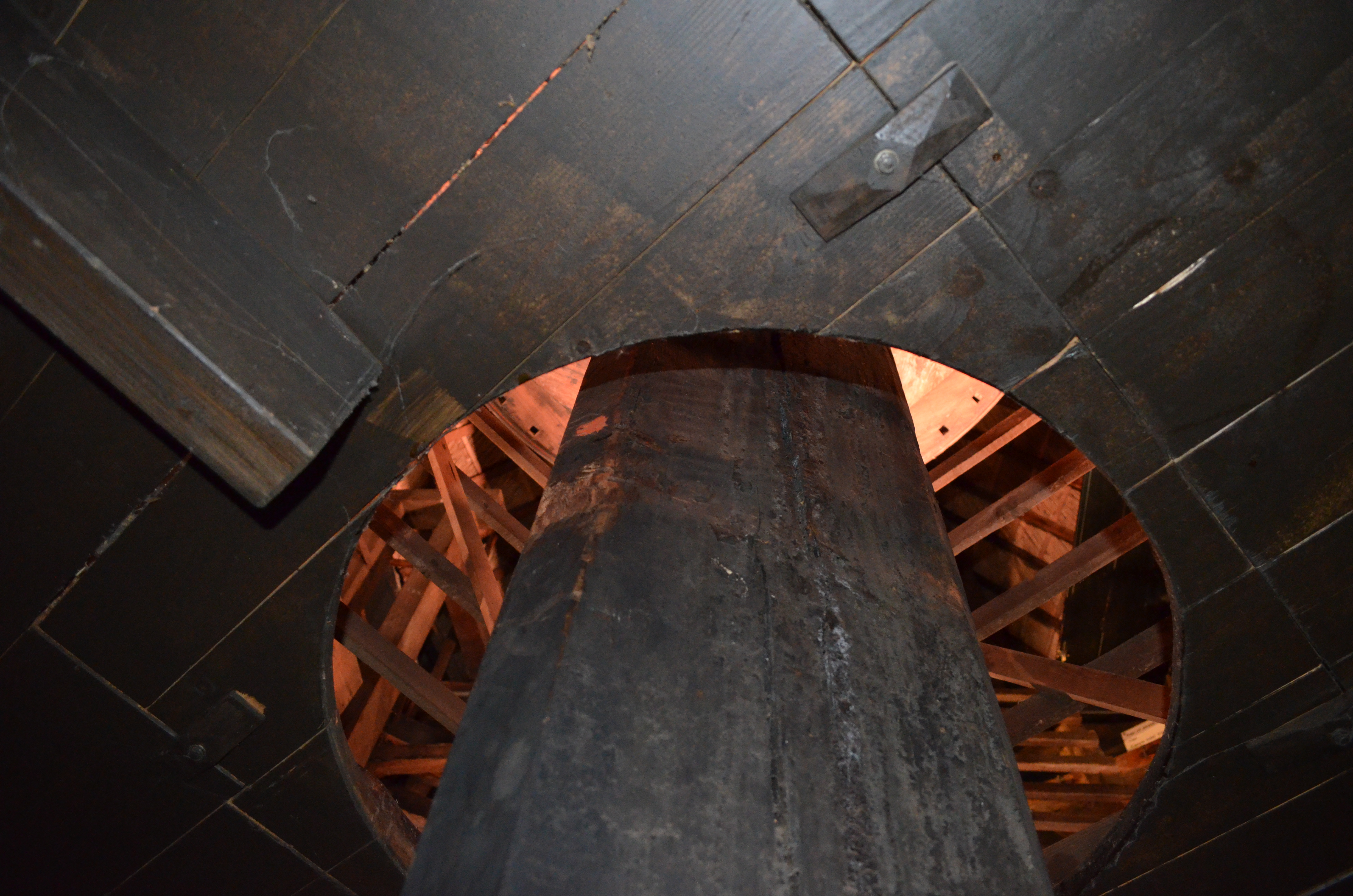 ./2017/19 - Viking Lif/12 - Kinderdijk, The Netherlands/DSC_0314.JPG